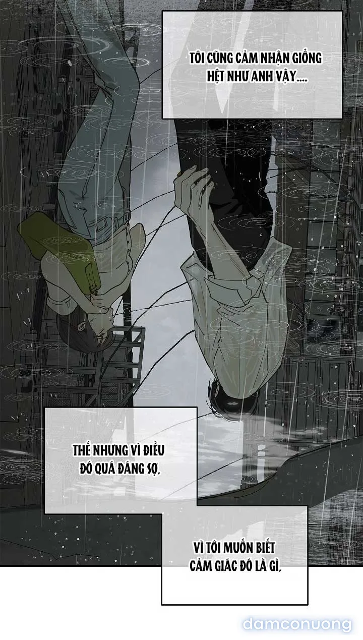 Đóa Hoa Là Mồi Nhử 
