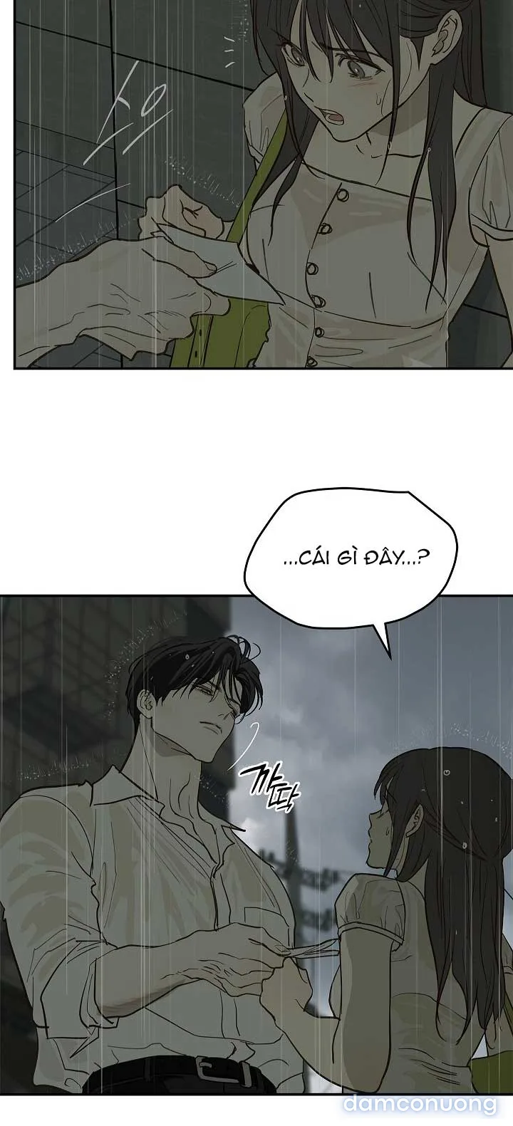 Đóa Hoa Là Mồi Nhử 