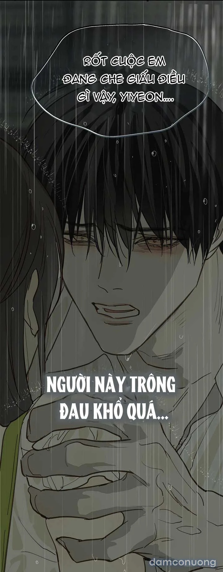 Đóa Hoa Là Mồi Nhử 