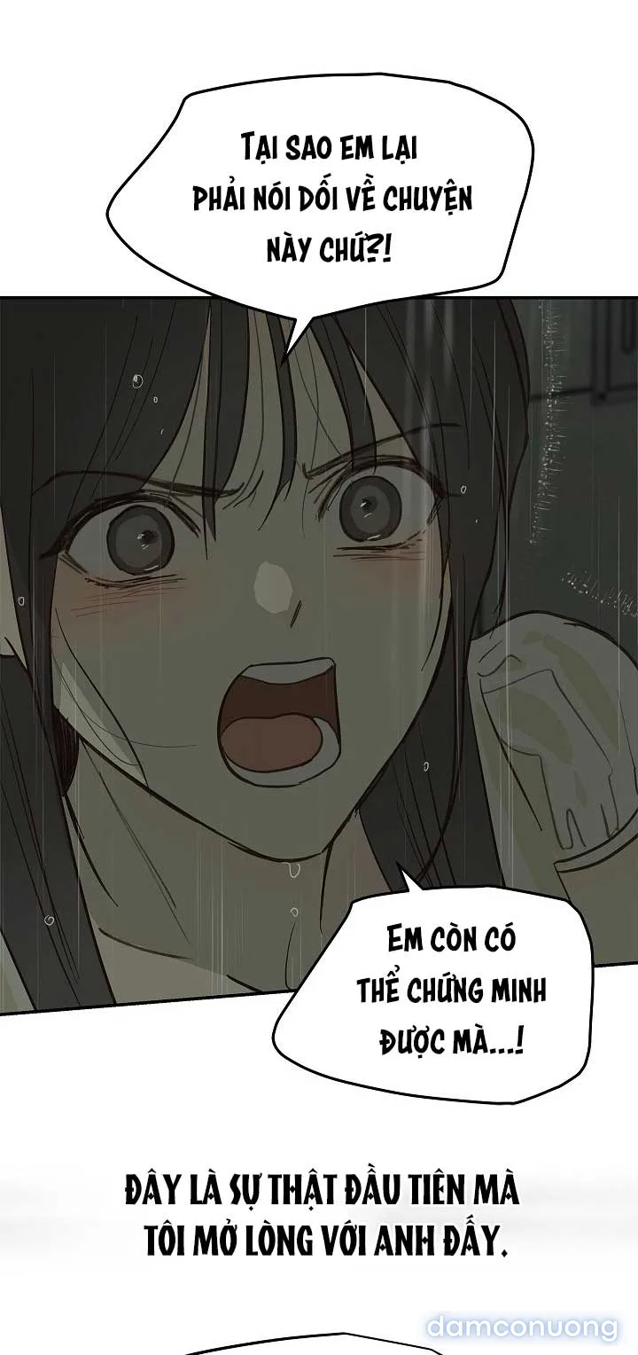 Đóa Hoa Là Mồi Nhử 