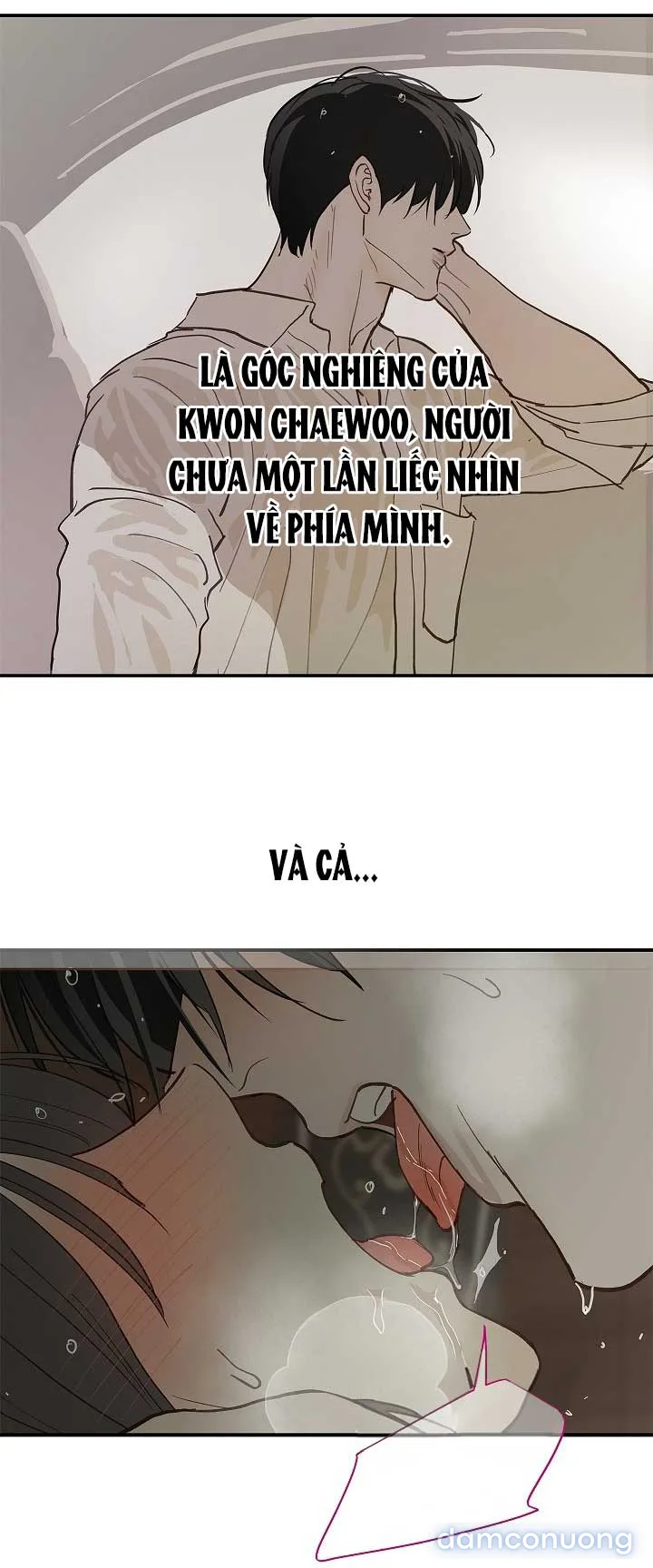 Đóa Hoa Là Mồi Nhử 