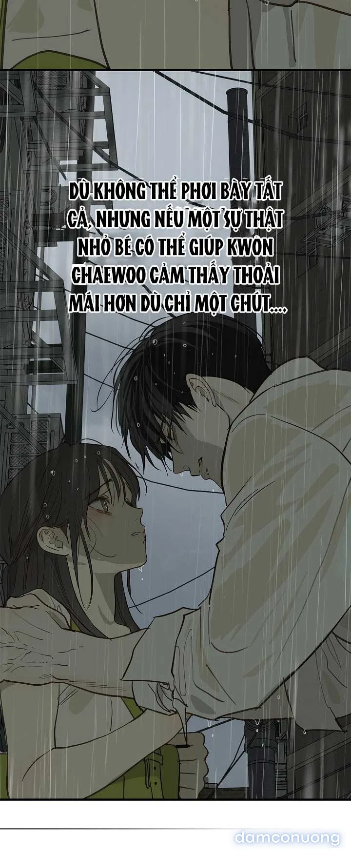 Đóa Hoa Là Mồi Nhử 