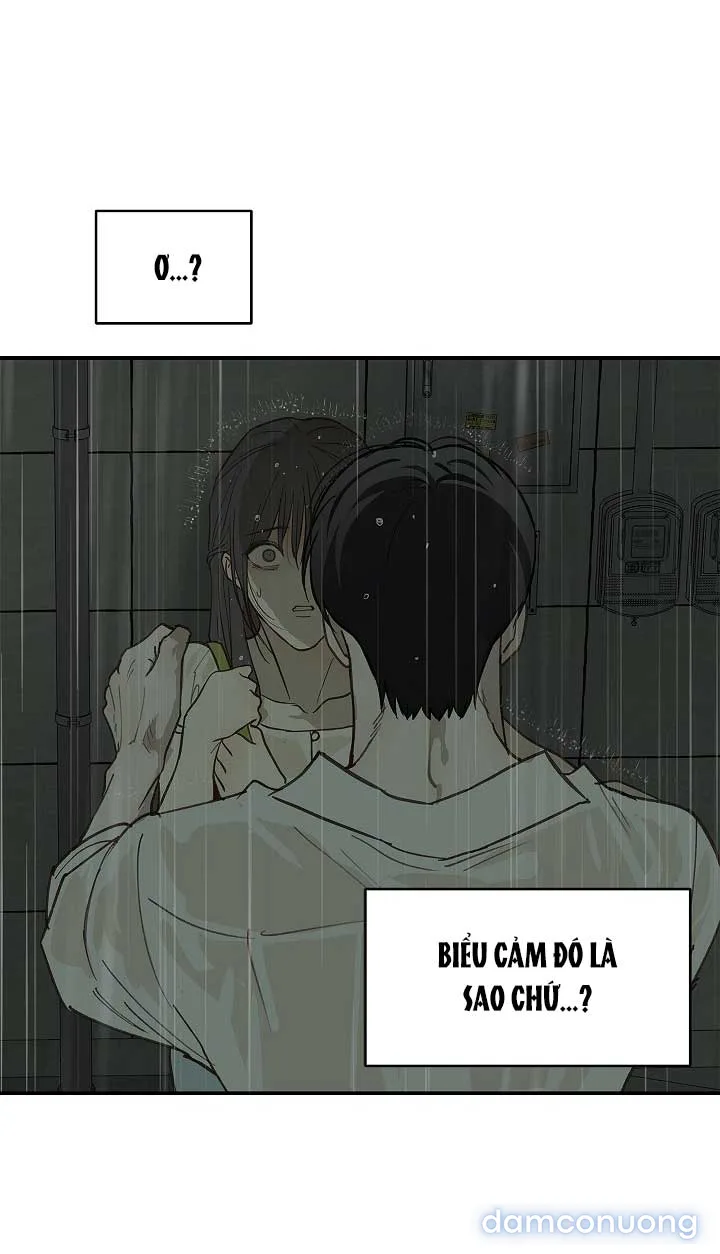 Đóa Hoa Là Mồi Nhử 