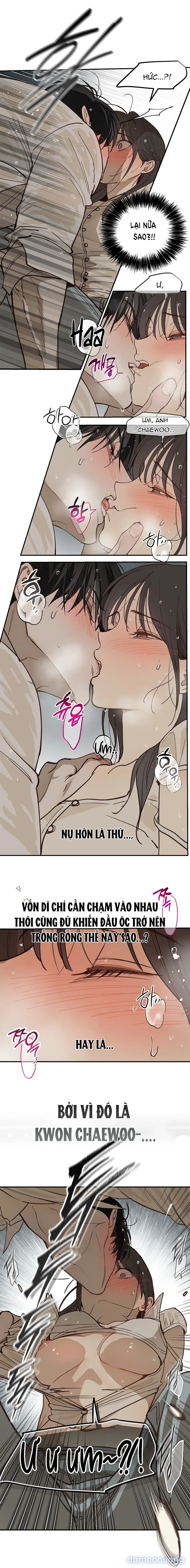 Đóa Hoa Là Mồi Nhử 