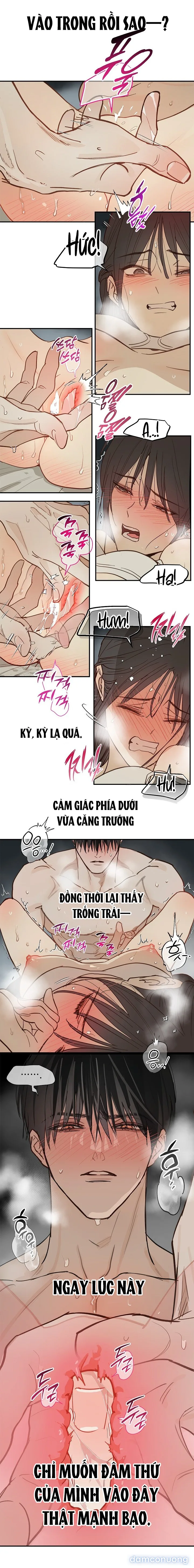 Đóa Hoa Là Mồi Nhử 