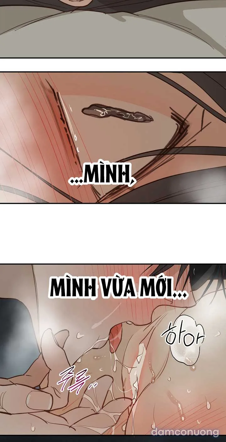 Đóa Hoa Là Mồi Nhử 