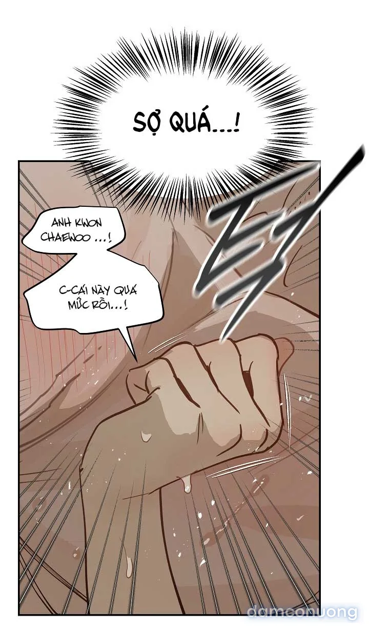 Đóa Hoa Là Mồi Nhử 