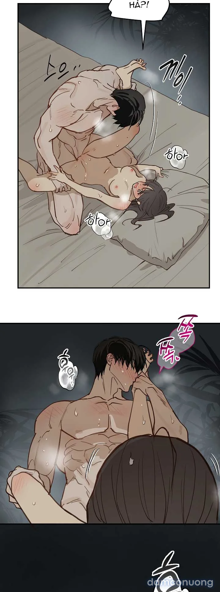 Đóa Hoa Là Mồi Nhử 