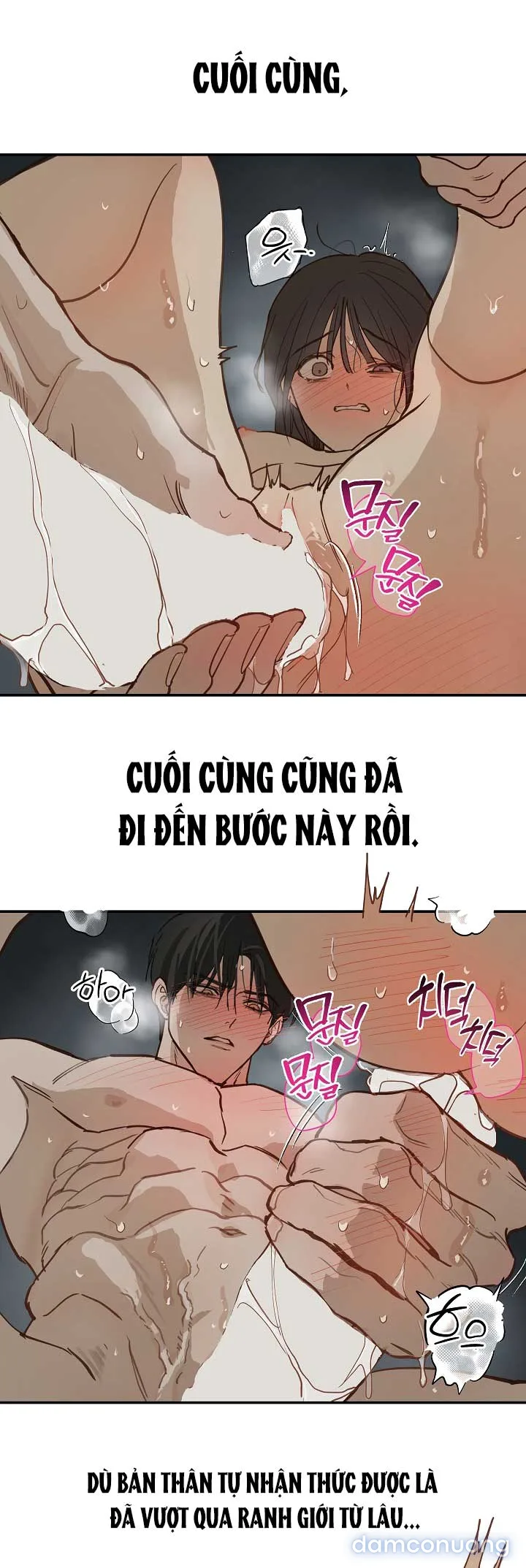 Đóa Hoa Là Mồi Nhử 