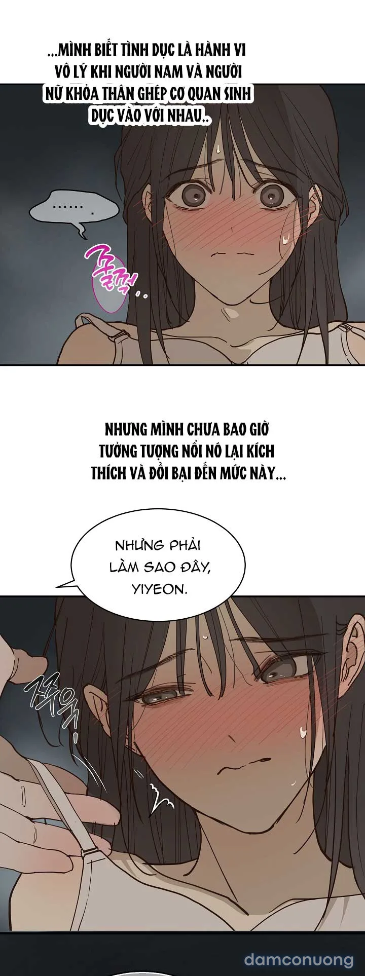Đóa Hoa Là Mồi Nhử 