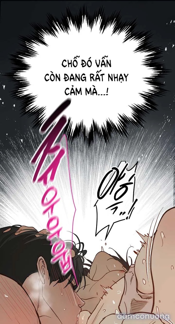 Đóa Hoa Là Mồi Nhử 