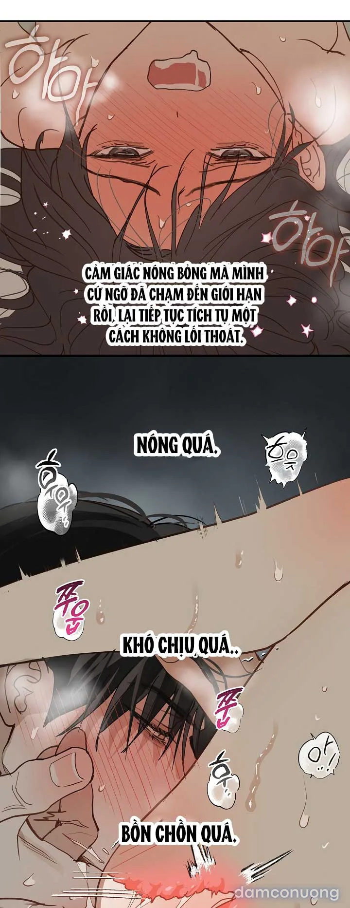 Đóa Hoa Là Mồi Nhử 
