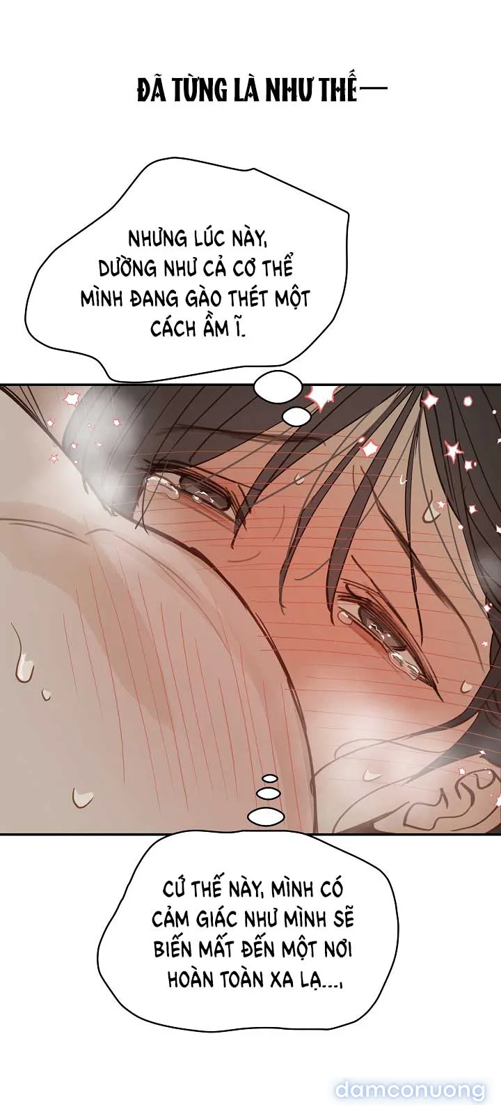 Đóa Hoa Là Mồi Nhử 