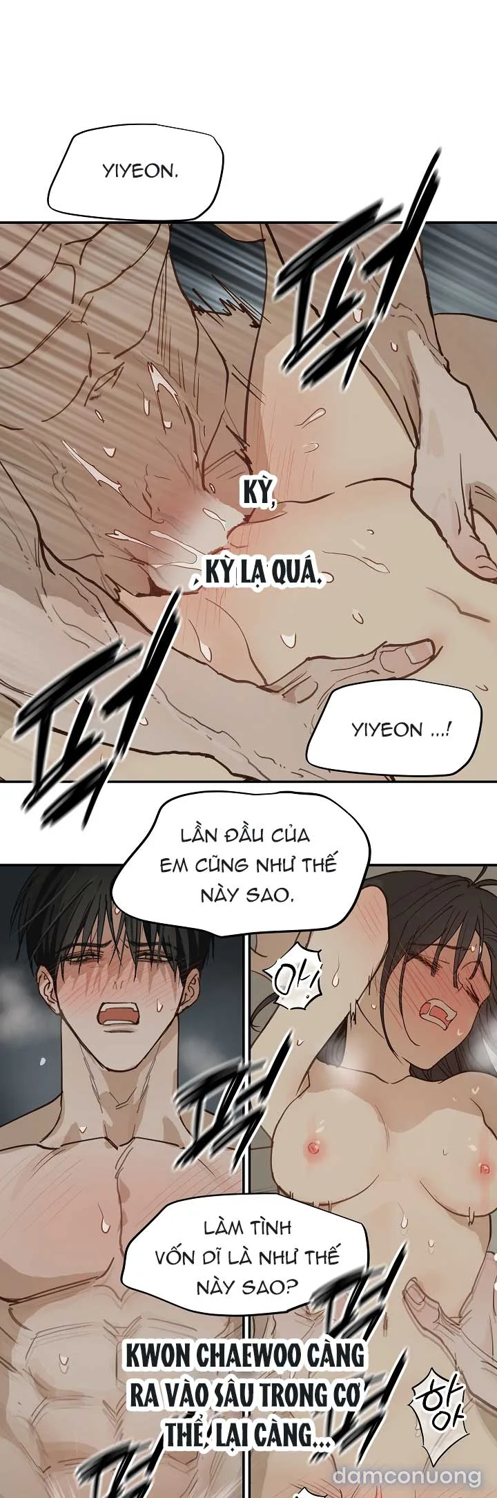 Đóa Hoa Là Mồi Nhử 