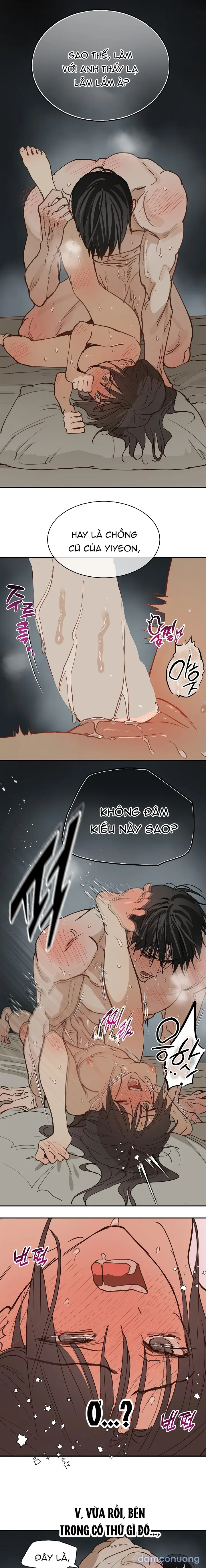 Đóa Hoa Là Mồi Nhử 