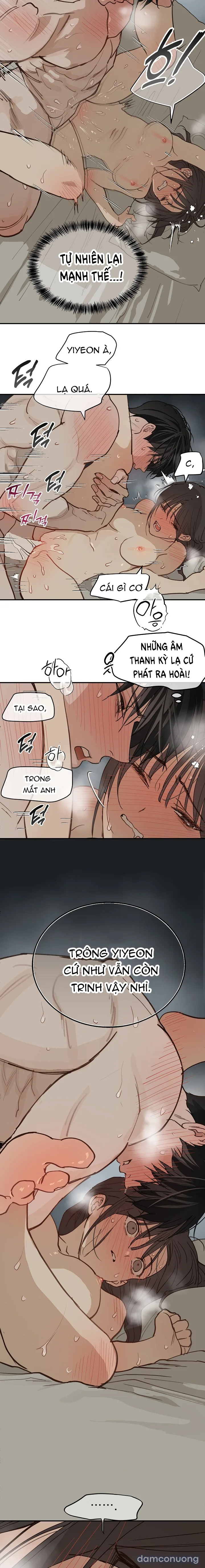 Đóa Hoa Là Mồi Nhử 
