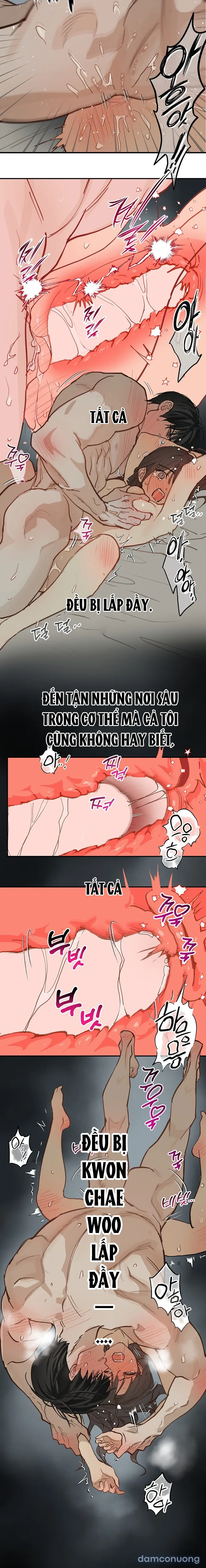 Đóa Hoa Là Mồi Nhử 