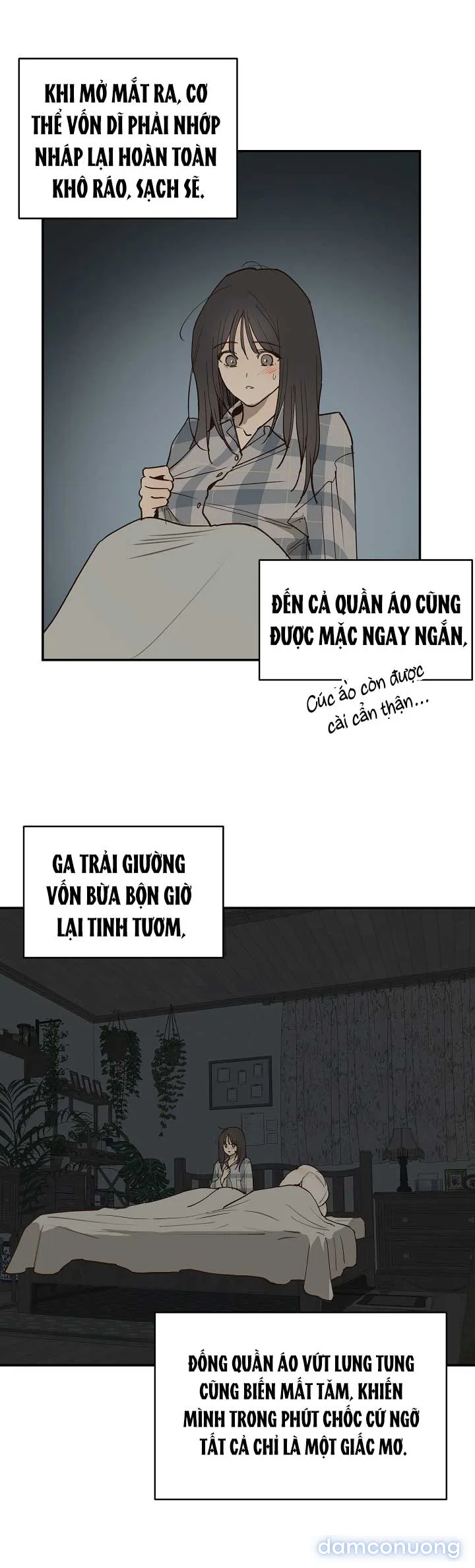 Đóa Hoa Là Mồi Nhử 