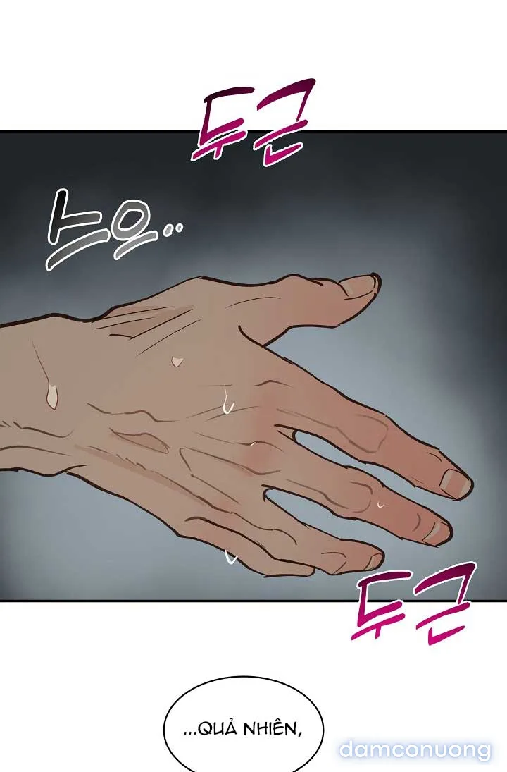 Đóa Hoa Là Mồi Nhử 