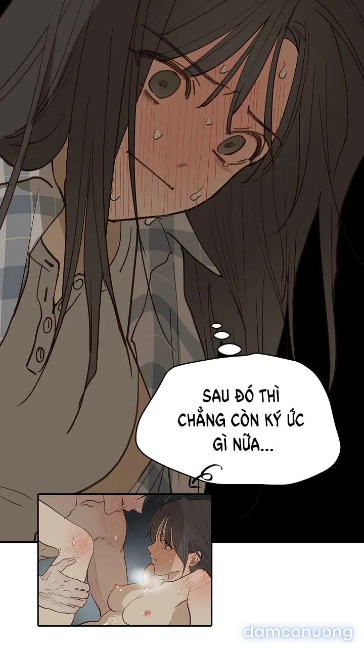 Đóa Hoa Là Mồi Nhử 