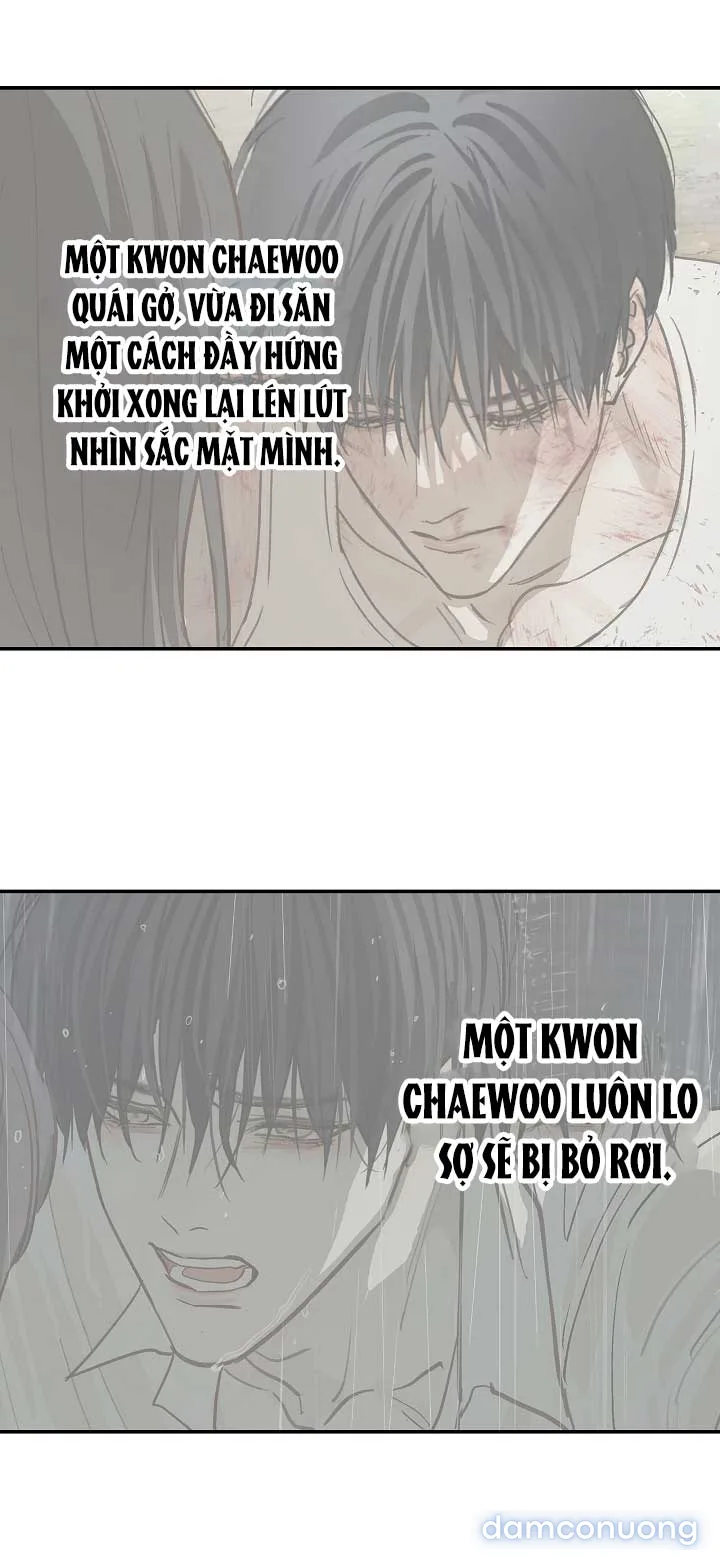 Đóa Hoa Là Mồi Nhử 