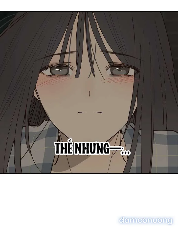 Đóa Hoa Là Mồi Nhử 