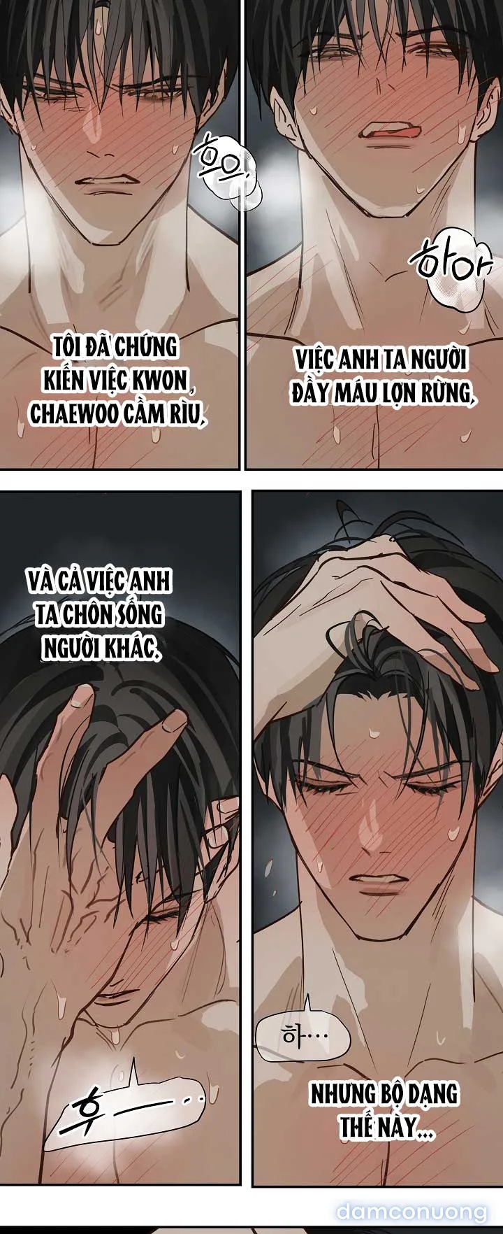 Đóa Hoa Là Mồi Nhử 