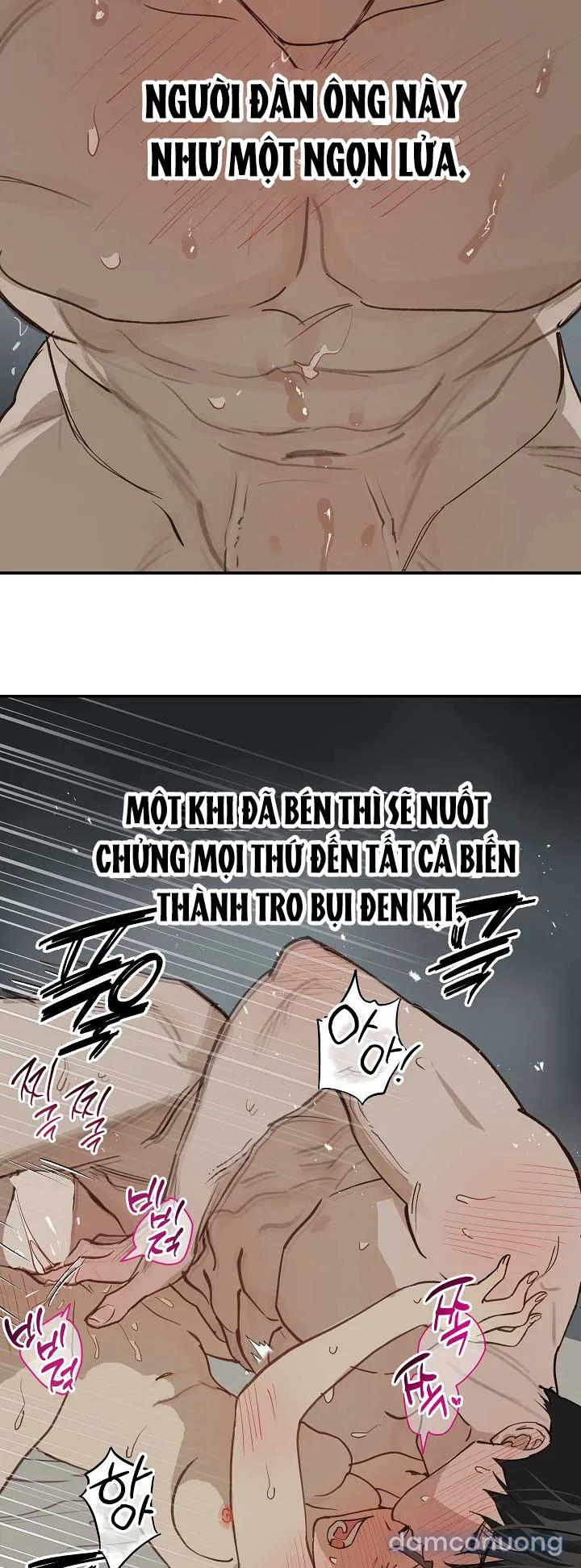 Đóa Hoa Là Mồi Nhử 