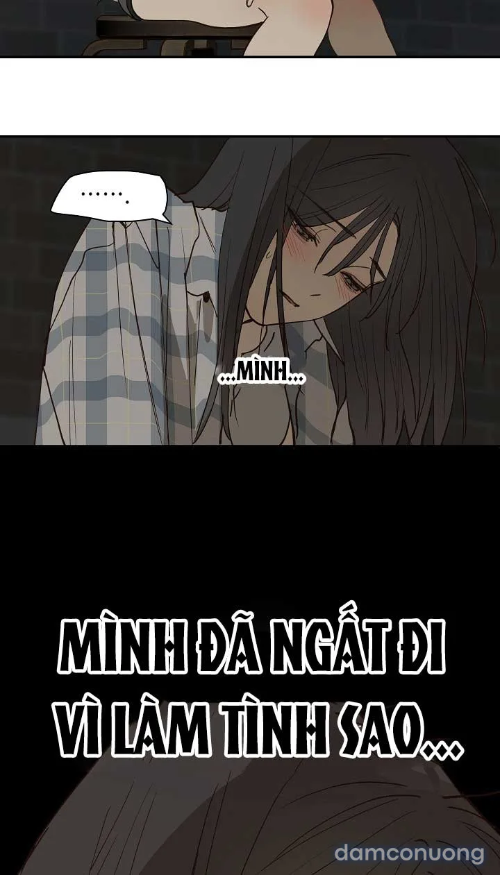 Đóa Hoa Là Mồi Nhử 