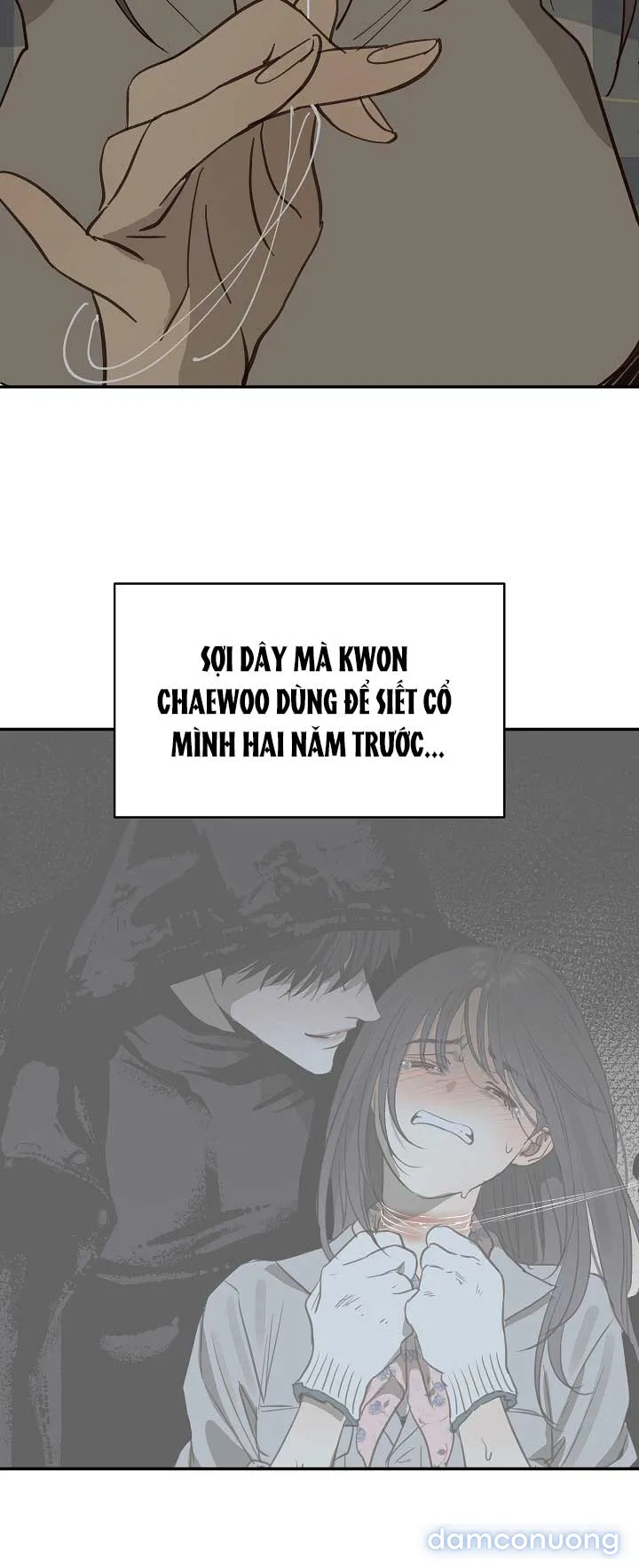 Đóa Hoa Là Mồi Nhử 