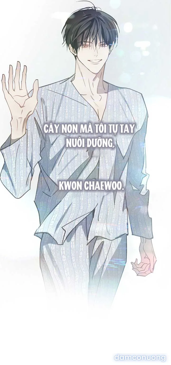 Đóa Hoa Là Mồi Nhử 