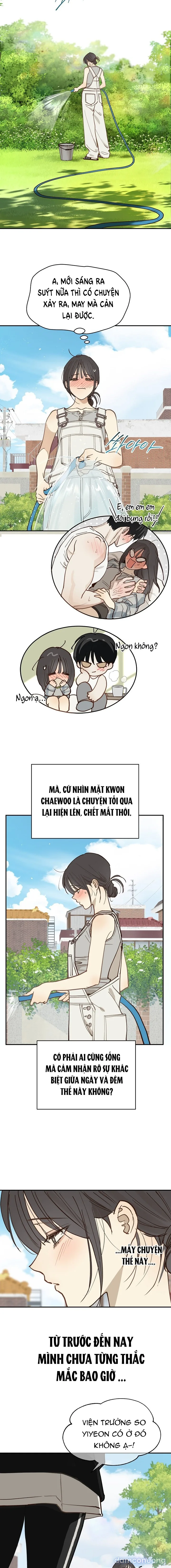 Đóa Hoa Là Mồi Nhử 