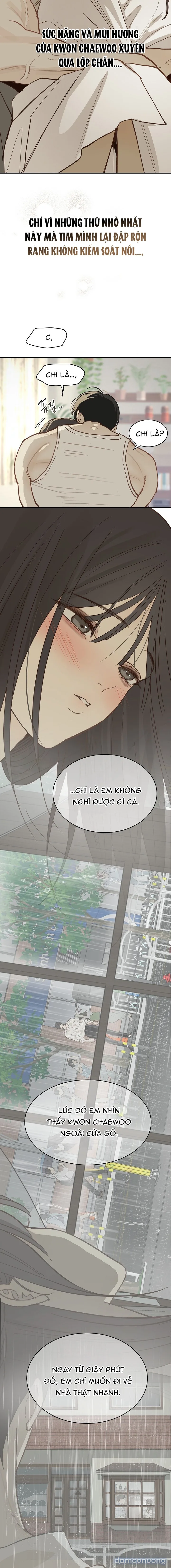 Đóa Hoa Là Mồi Nhử 