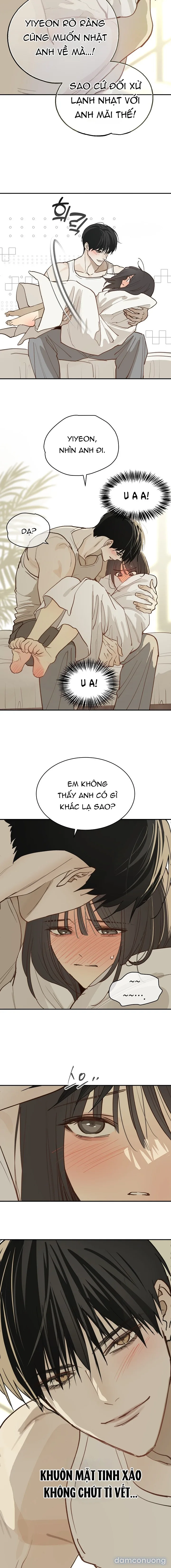 Đóa Hoa Là Mồi Nhử 