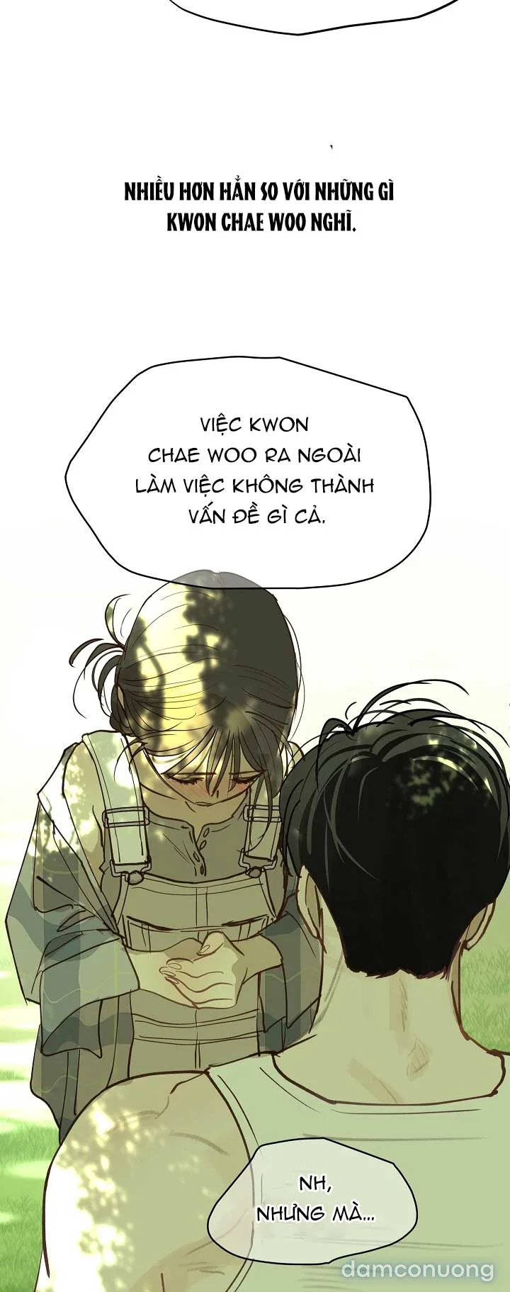 Đóa Hoa Là Mồi Nhử 