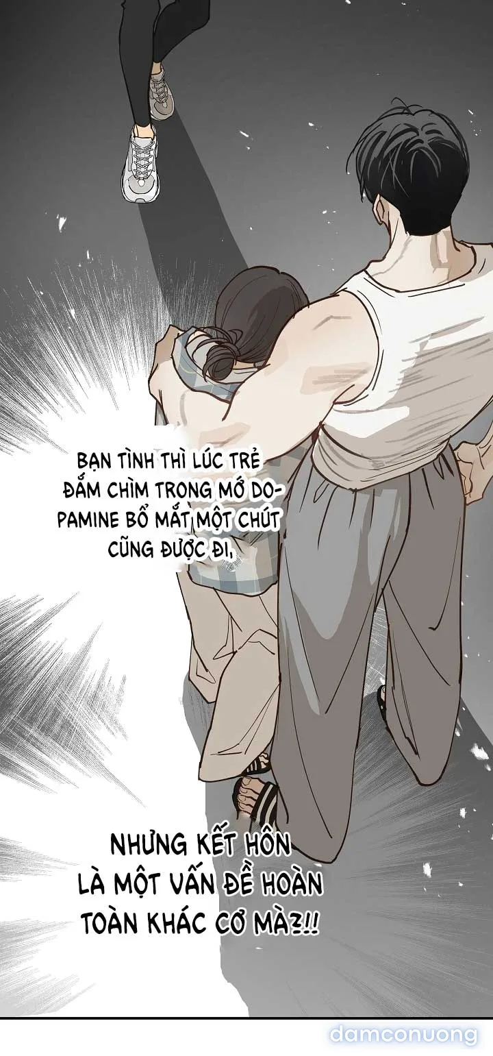 Đóa Hoa Là Mồi Nhử 