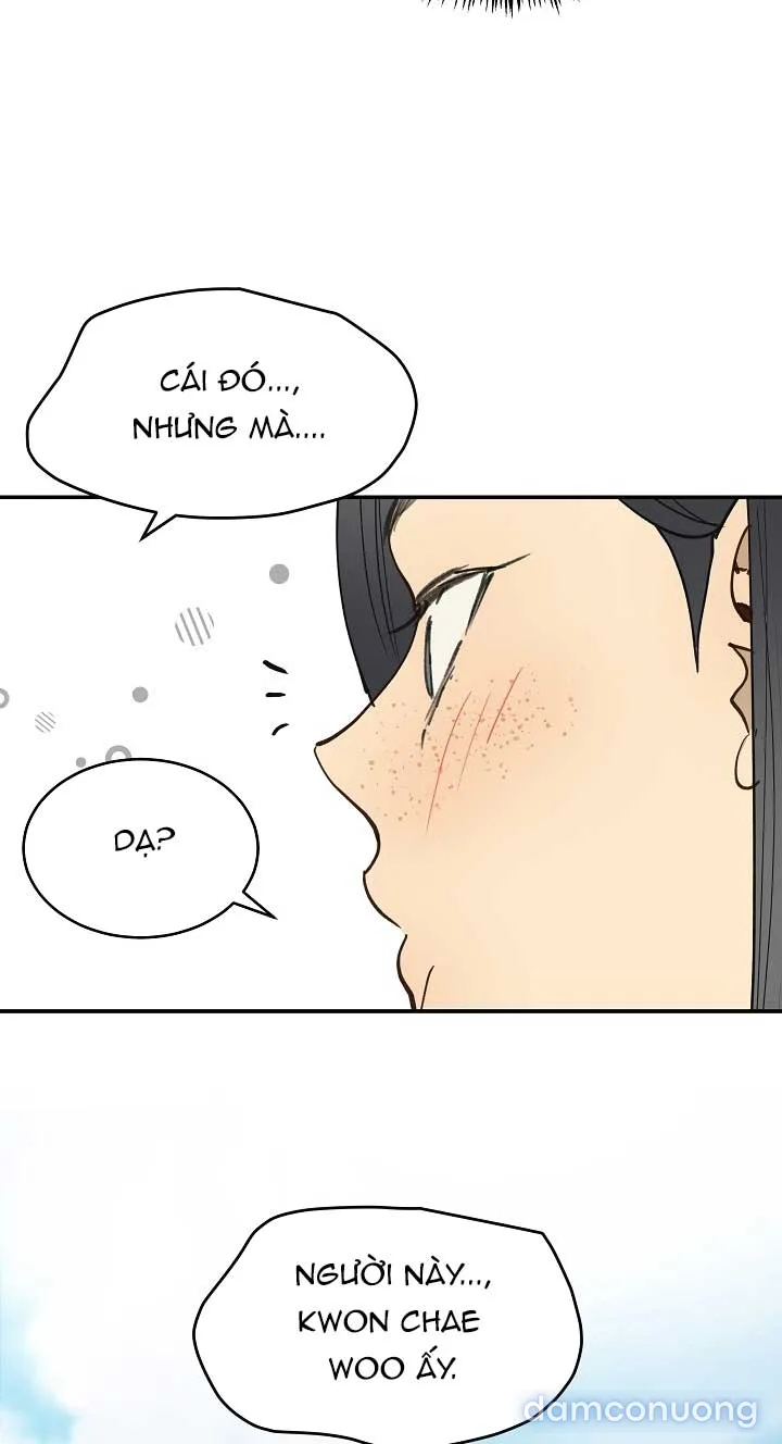 Đóa Hoa Là Mồi Nhử 