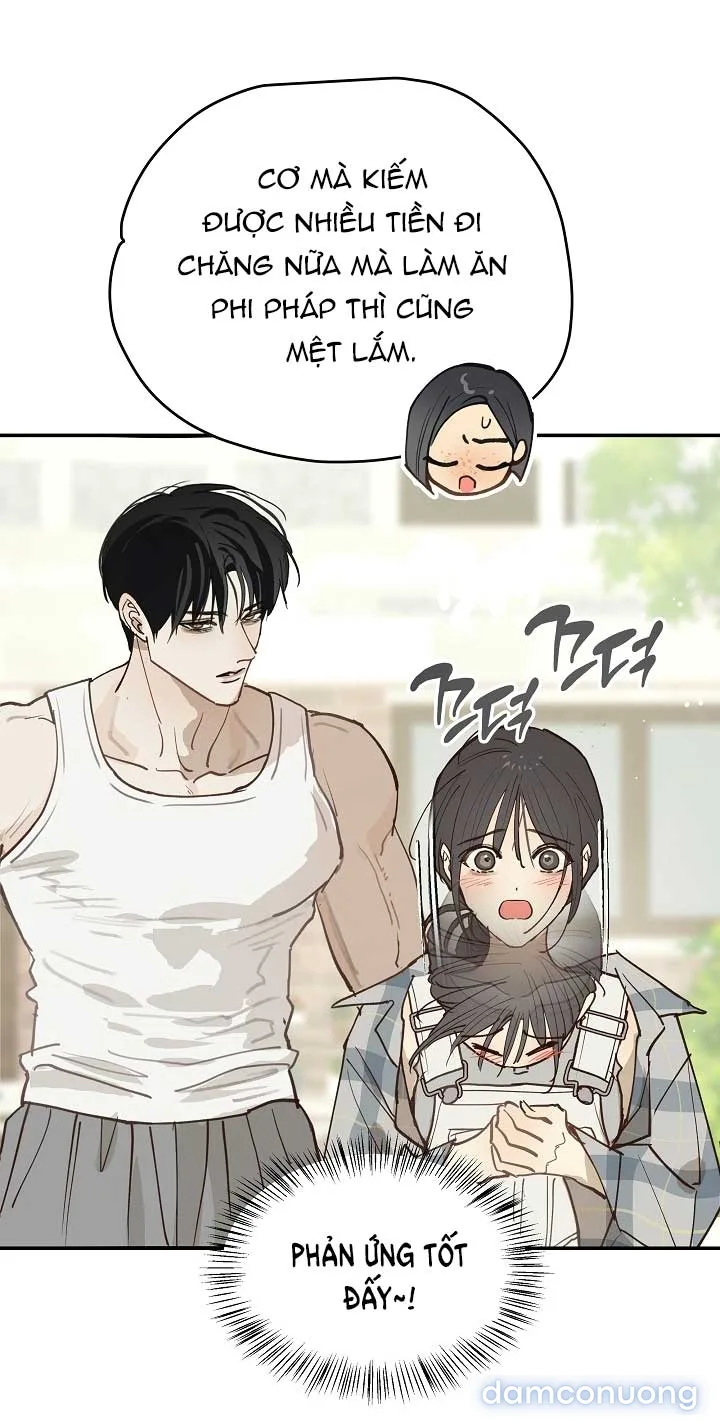 Đóa Hoa Là Mồi Nhử 