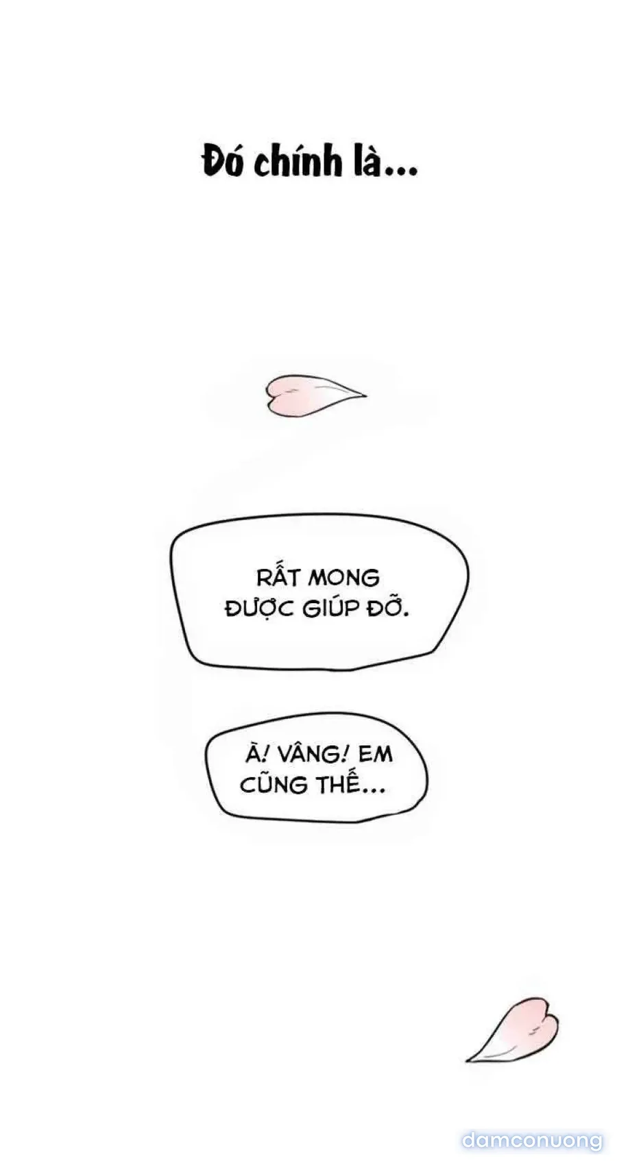 Cupid thầm lặng của tôi 