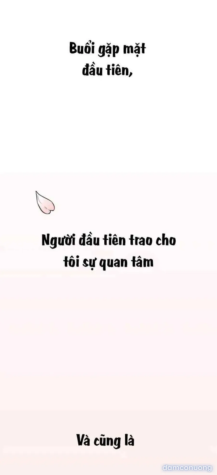 Cupid thầm lặng của tôi 