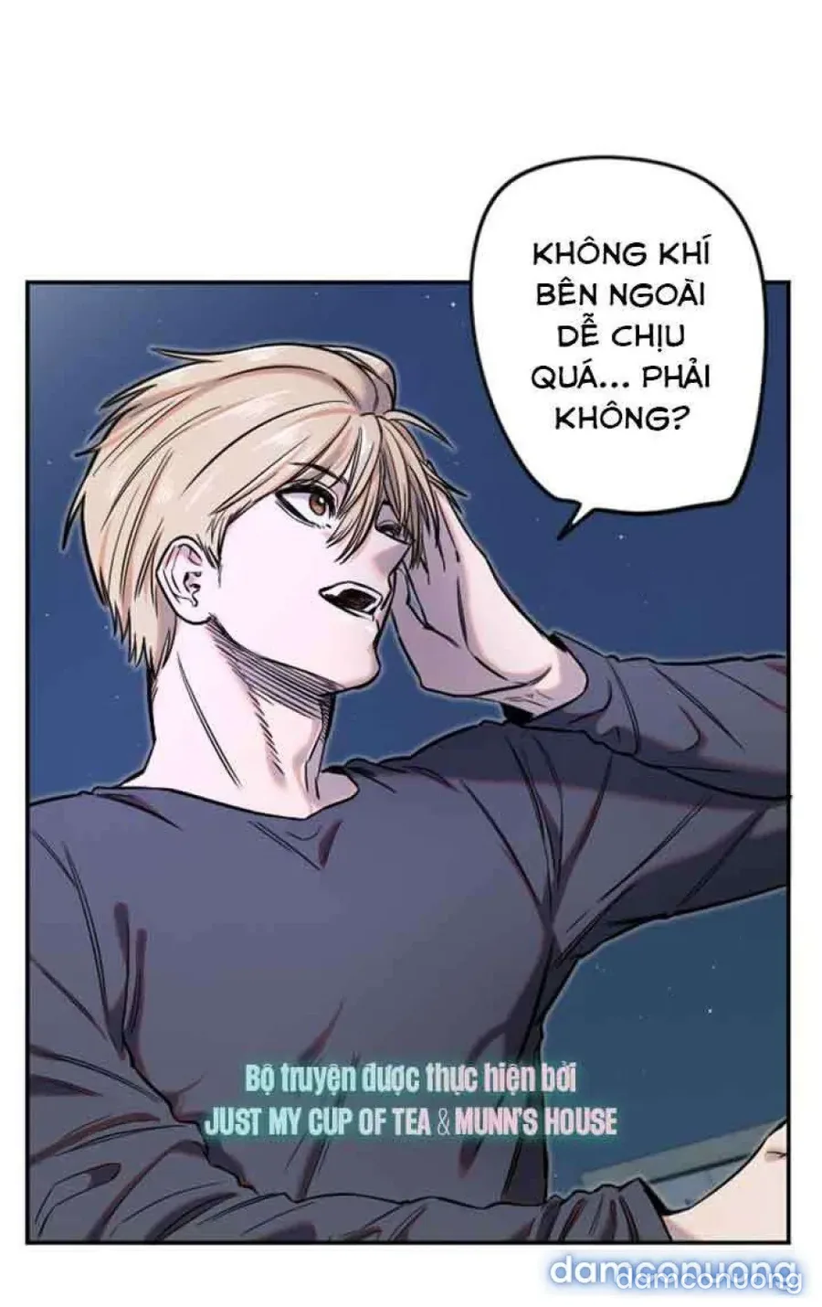 Cupid thầm lặng của tôi 