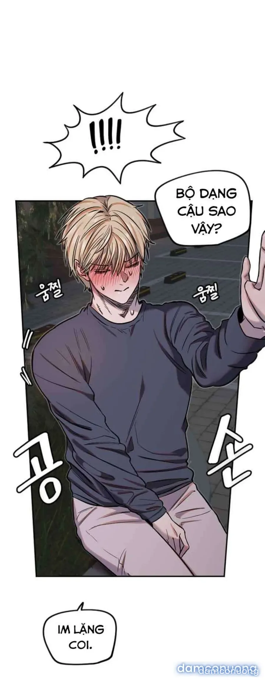 Cupid thầm lặng của tôi 