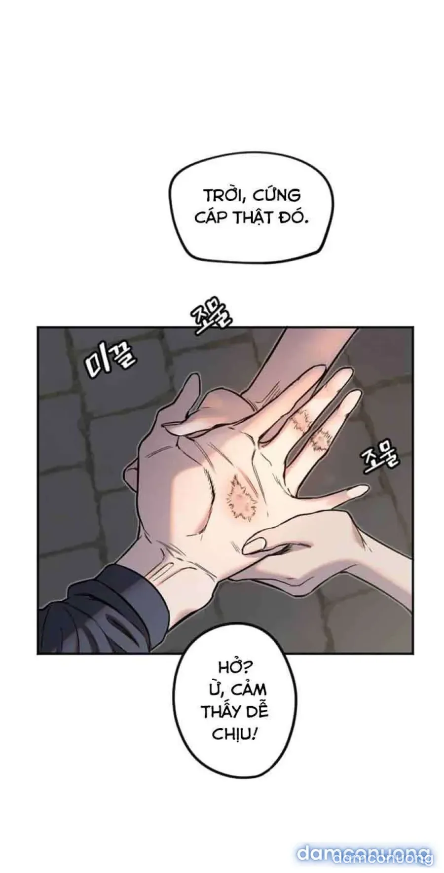 Cupid thầm lặng của tôi 