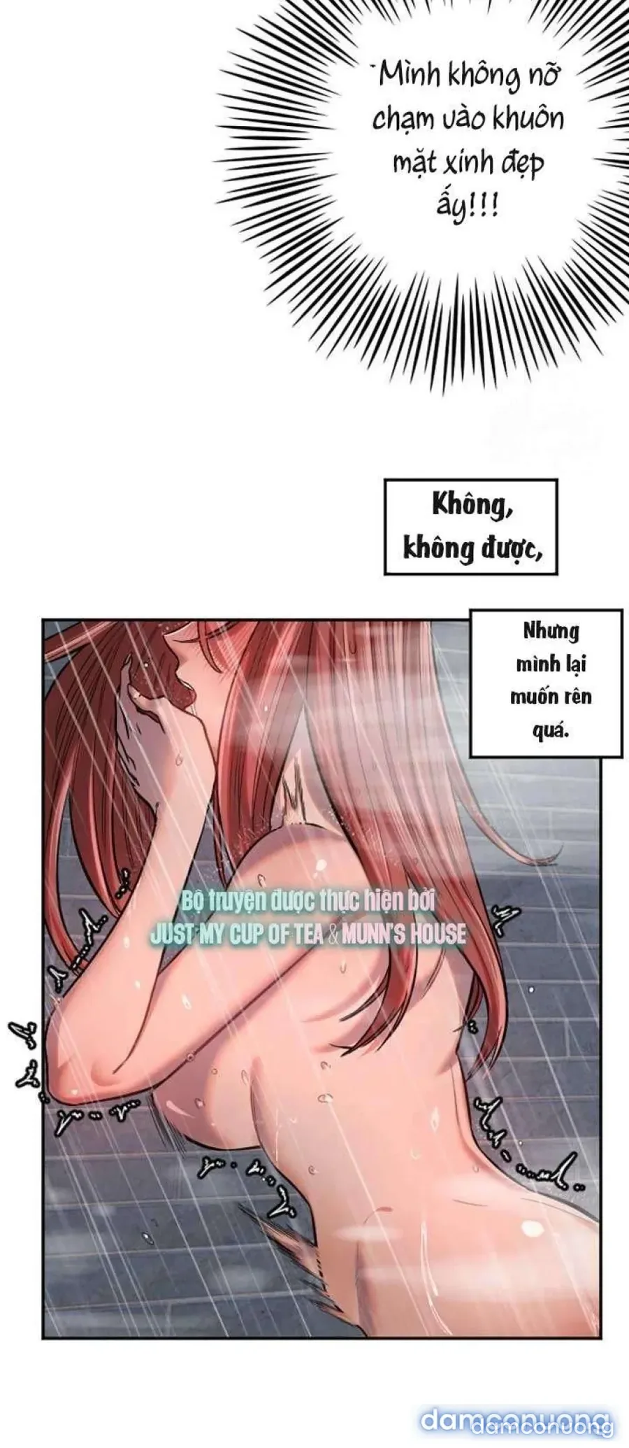 Cupid thầm lặng của tôi 