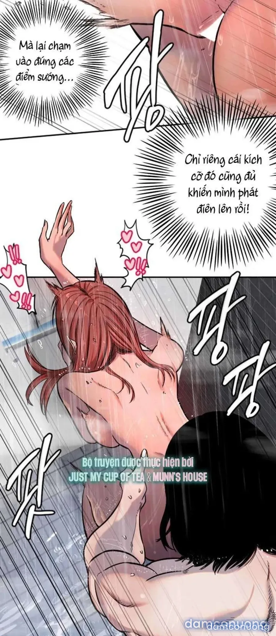 Cupid thầm lặng của tôi 