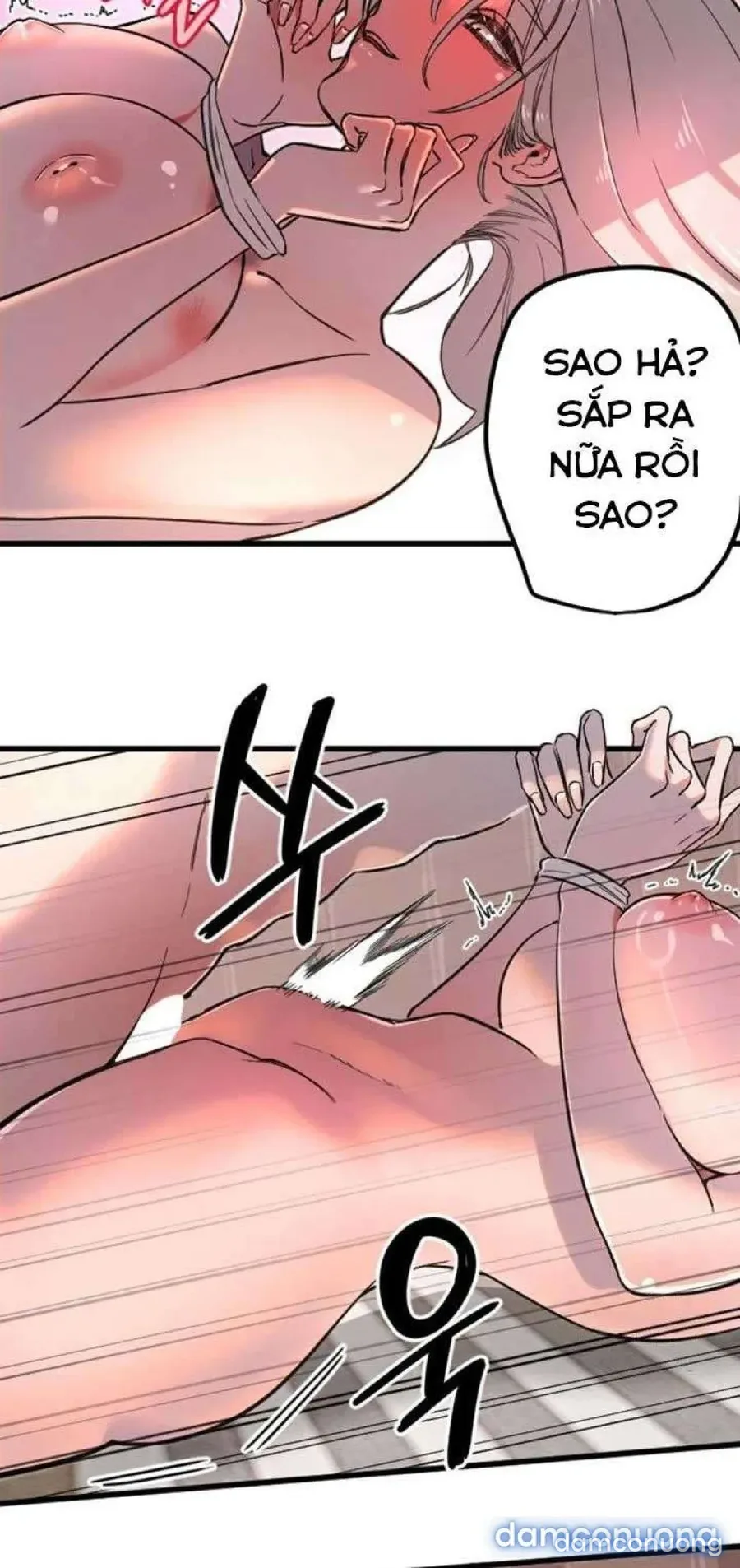 Cupid thầm lặng của tôi 
