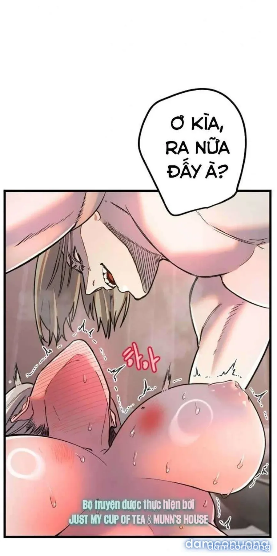 Cupid thầm lặng của tôi 