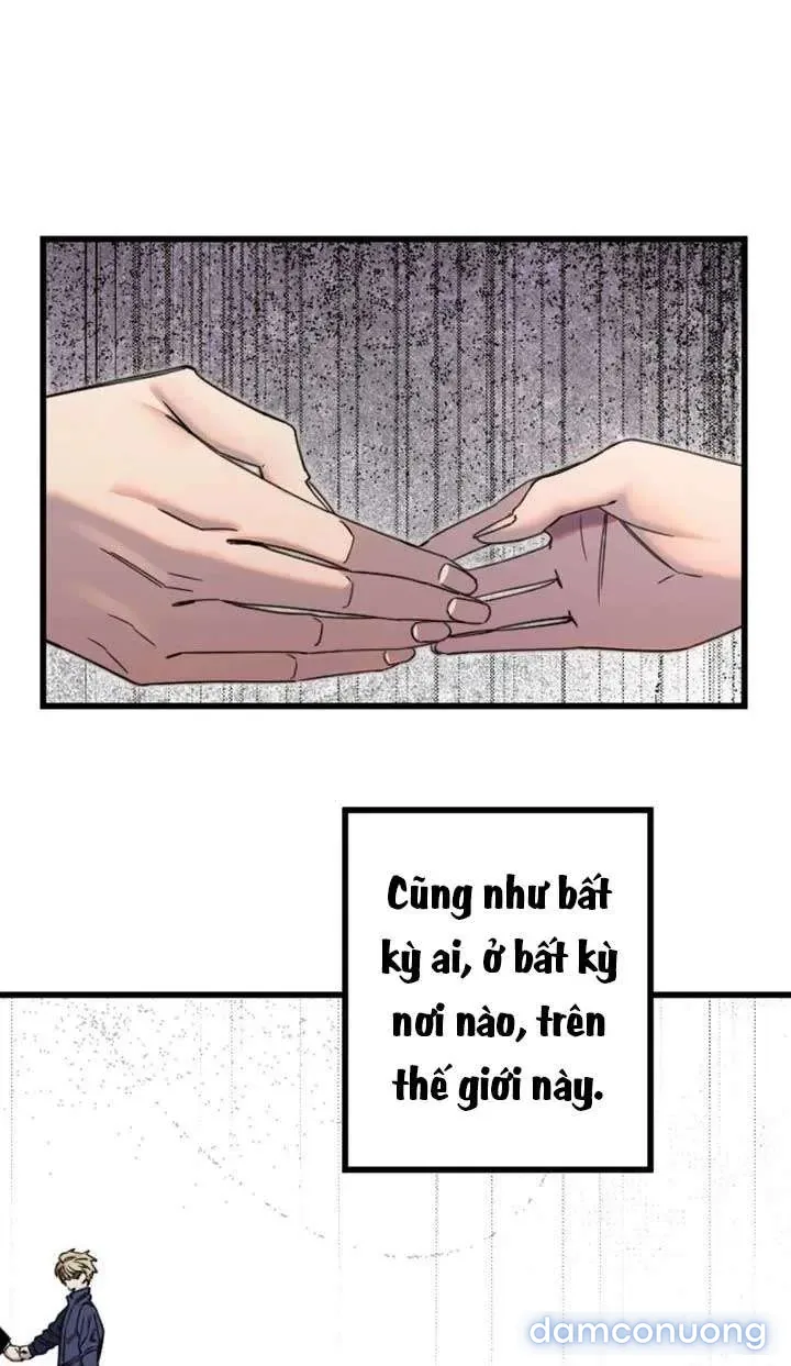Cupid thầm lặng của tôi 
