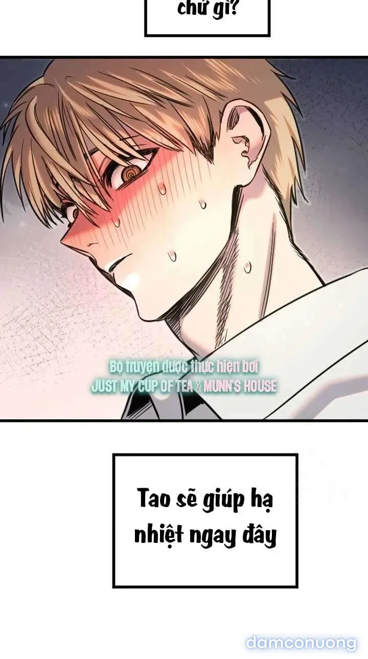 Cupid thầm lặng của tôi 