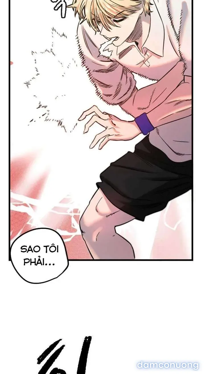 Cupid thầm lặng của tôi 